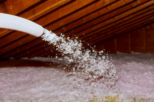 Best Blown-in Insulation  in Wrightstown, WI