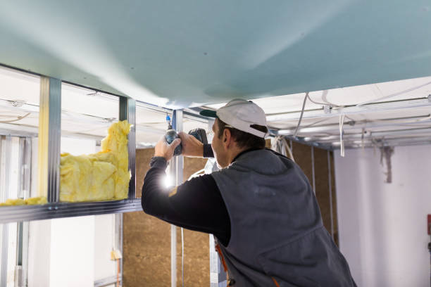 Best Insulation Replacement Services  in Wrightstown, WI